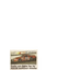 Late Model Digest July 2006